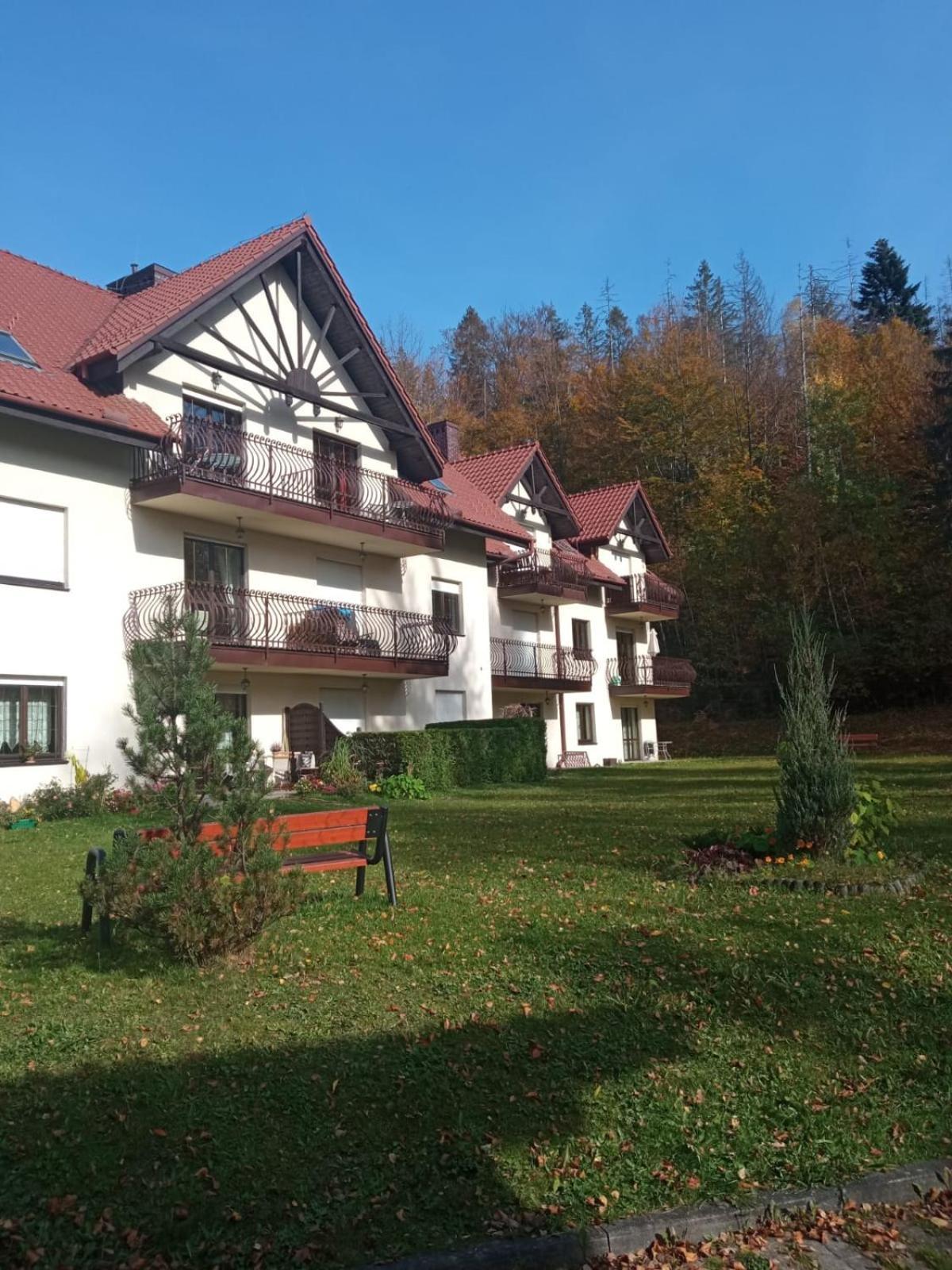 Belweder Apartamenty I Pokoje Wisła Extérieur photo